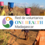 PUESTA EN MARCHA DE LA  RED DE VOLUNTARIOS ONE HEALTH MADAGASCAR